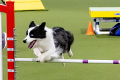 2023-June-AADTC-Trial-1189