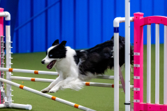 2023-June-AADTC-Trial-1190