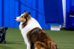 2023-June-AADTC-Trial-1191