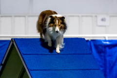 2023-June-AADTC-Trial-1192