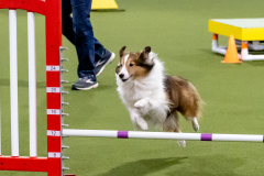 2023-June-AADTC-Trial-1194