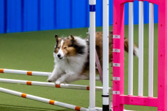 2023-June-AADTC-Trial-1195