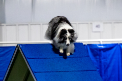 2023-June-AADTC-Trial-1196