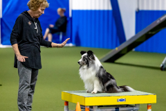 2023-June-AADTC-Trial-1197