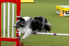 2023-June-AADTC-Trial-1199