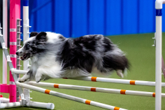 2023-June-AADTC-Trial-1200