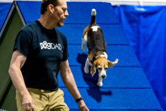 2023-June-AADTC-Trial-1201