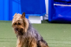 2023-June-AADTC-Trial-1205