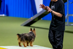 2023-June-AADTC-Trial-1207