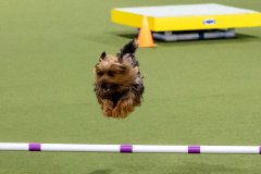 2023-June-AADTC-Trial-1209