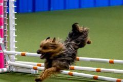 2023-June-AADTC-Trial-1210