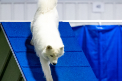 2023-June-AADTC-Trial-1213