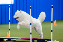 2023-June-AADTC-Trial-1215