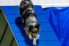 2023-June-AADTC-Trial-1216