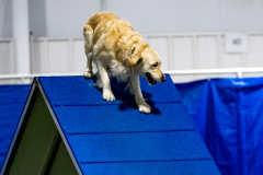 2023-June-AADTC-Trial-1218