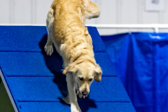 2023-June-AADTC-Trial-1219