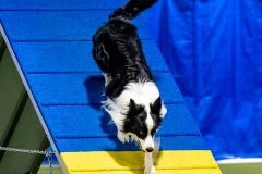 2023-June-AADTC-Trial-1222