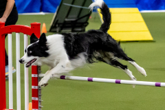 2023-June-AADTC-Trial-1223