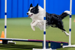 2023-June-AADTC-Trial-1224