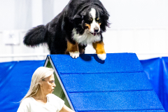 2023-June-AADTC-Trial-1225