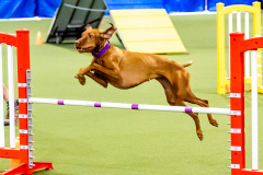 2023-June-AADTC-Trial-1230