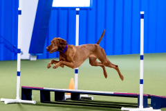 2023-June-AADTC-Trial-1231