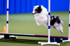 2023-June-AADTC-Trial-1233