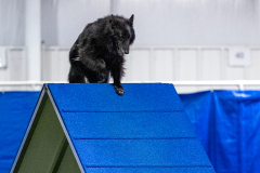 2023-June-AADTC-Trial-1234