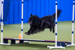 2023-June-AADTC-Trial-1237