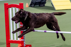 2023-June-AADTC-Trial-1242