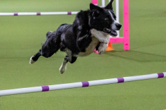 2023-June-AADTC-Trial-235