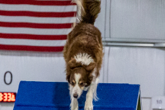 2023-June-AADTC-Trial-263