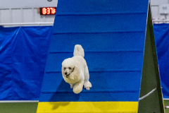 2023-June-AADTC-Trial-270