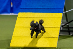 2023-June-AADTC-Trial-274