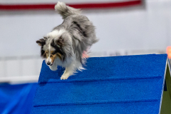 2023-June-AADTC-Trial-290