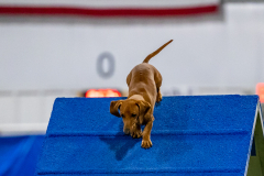 2023-June-AADTC-Trial-292