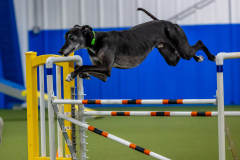 2023-June-AADTC-Trial-297