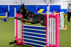 2023-June-AADTC-Trial-303