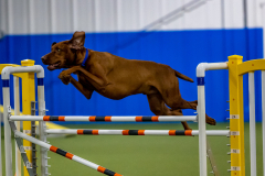 2023-June-AADTC-Trial-304