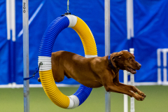 2023-June-AADTC-Trial-306