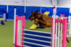 2023-June-AADTC-Trial-308