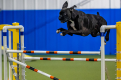 2023-June-AADTC-Trial-309