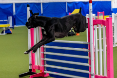 2023-June-AADTC-Trial-311