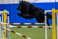 2023-June-AADTC-Trial-312