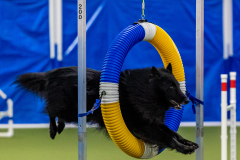 2023-June-AADTC-Trial-313