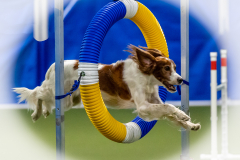 2023-June-AADTC-Trial-314