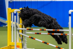 2023-June-AADTC-Trial-319