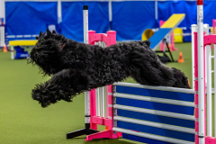 2023-June-AADTC-Trial-321