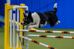 2023-June-AADTC-Trial-323