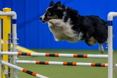 2023-June-AADTC-Trial-324